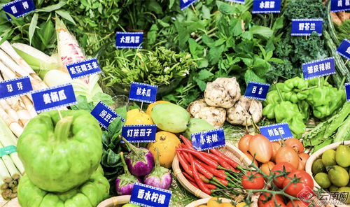 2024大理味道美食季 云品進京，食用農(nóng)產(chǎn)品零售放異彩——開篇 舌尖上的云南風來襲